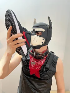 Public de DoggoPat  Imagens