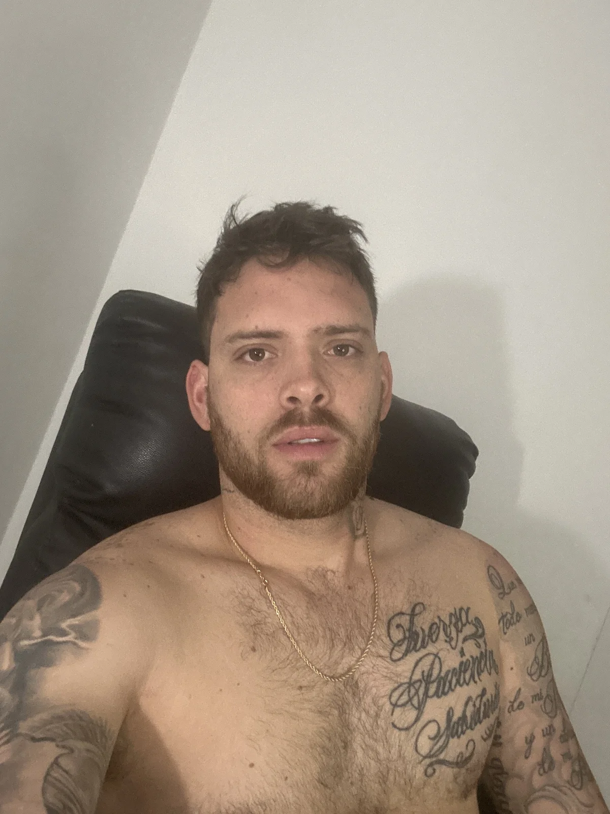 Трендове зображення  7576 arnold_bekam