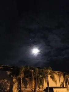 047joaosc Dia a dia 사진 5