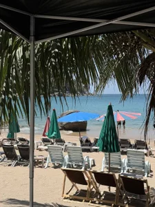 Kurohyooo on the beach Pic 2