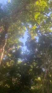 riri_nyaonのPublicの枚の写真