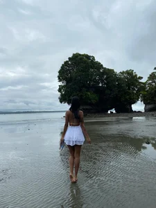 Danii-420 Public Gambar 2