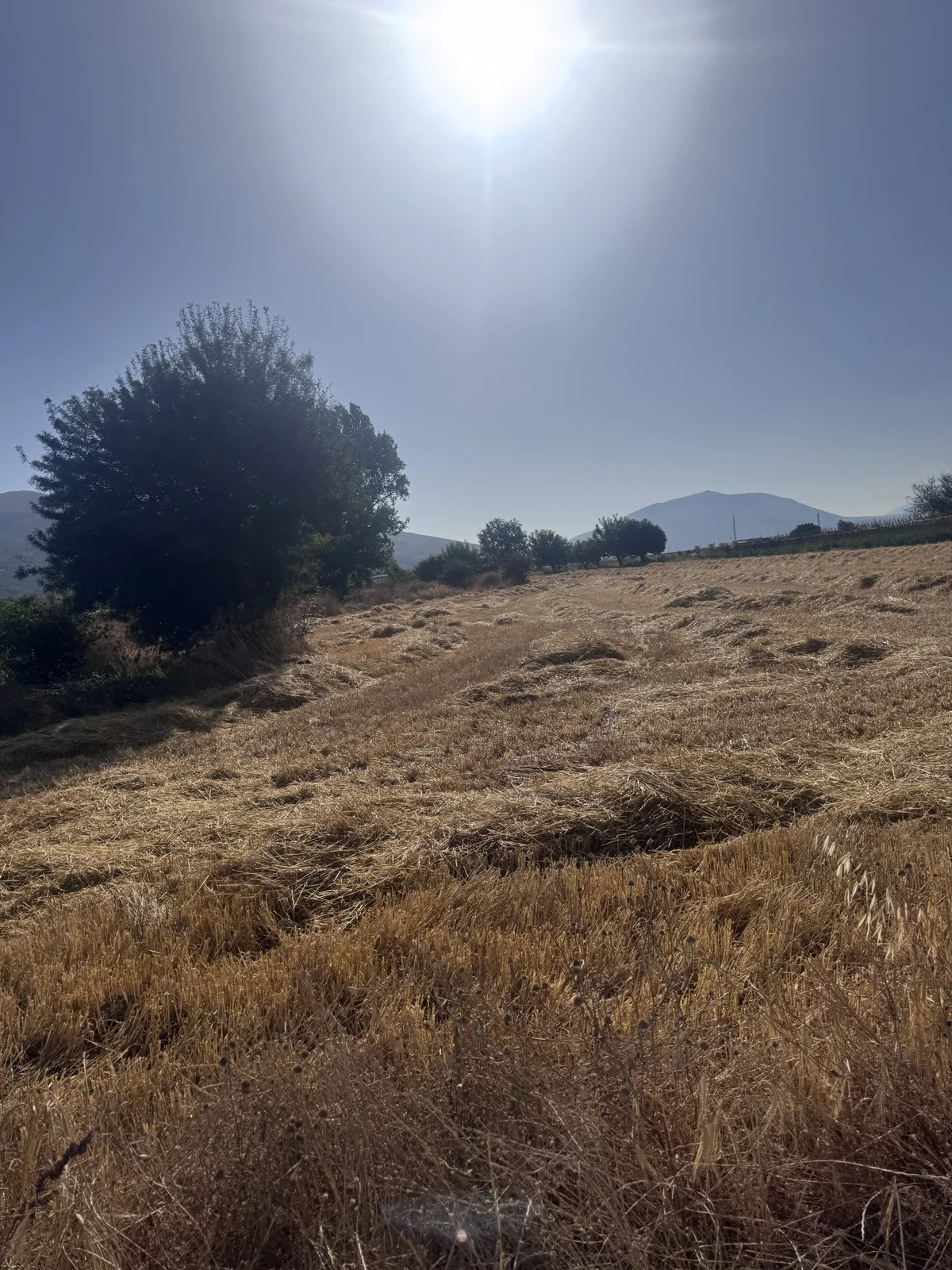 Youns98 Populära bilder 2354