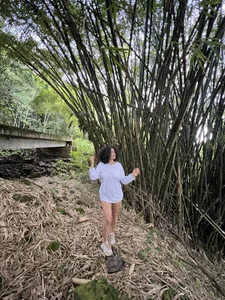 AfroSalvajeMountain Bild 4