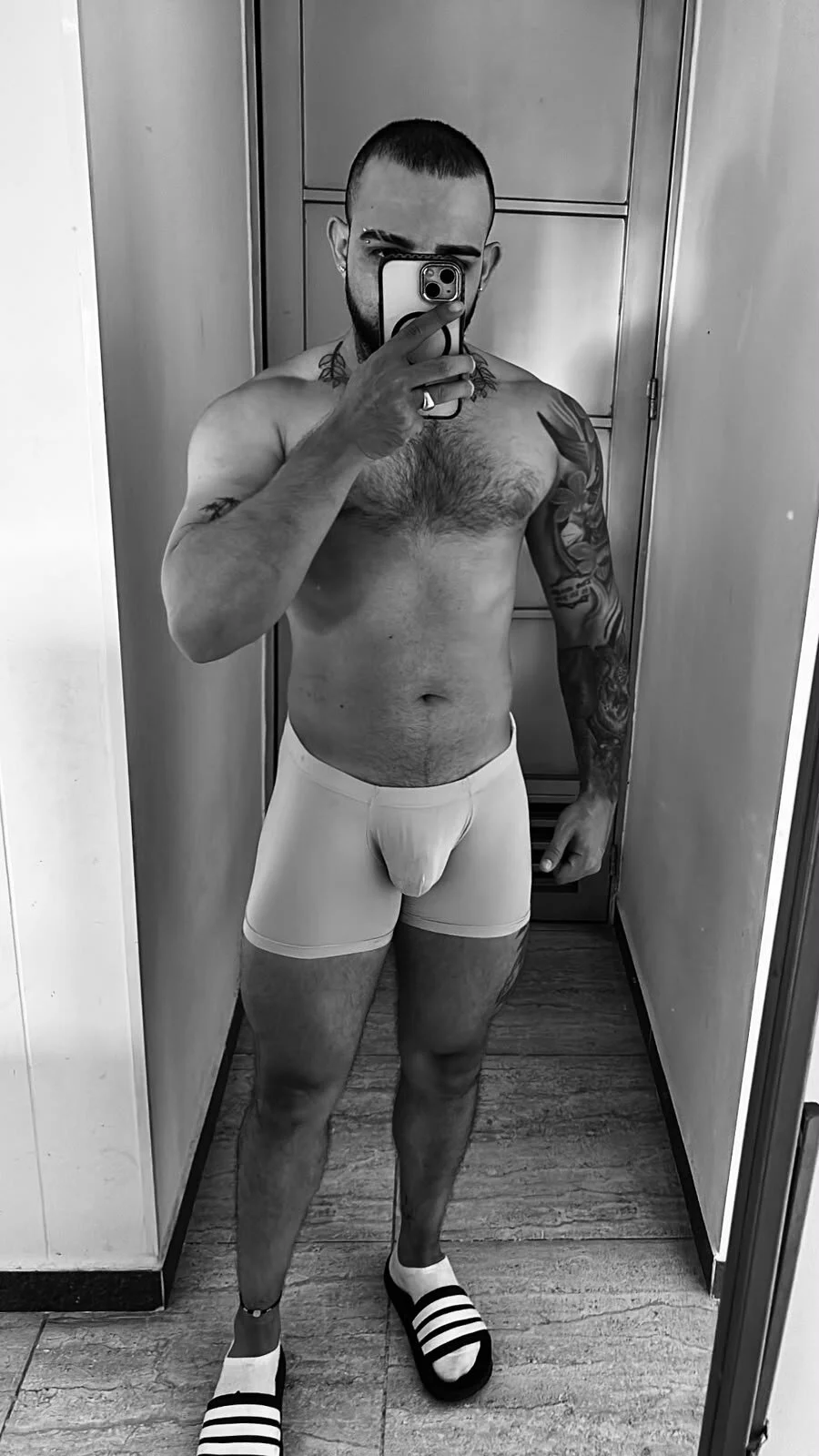 Трендове зображення  6534 Hoot_tiger