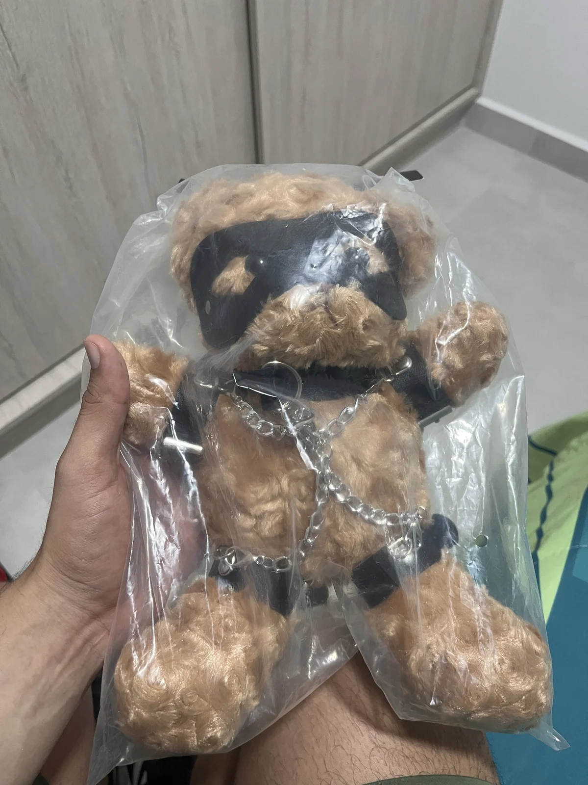 Трендове зображення  9608 zanedawson_
