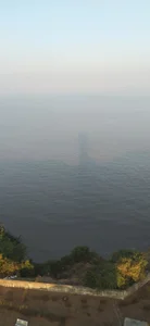 GO_LALA Public Poză