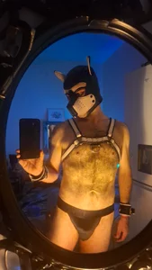 Nick_Pup_Amp Public Pic 7