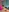 Kate-Jaackson's photo