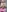 webpetite's photo