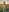 Elza_kom's photo