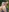 Fotoshoot in nature 🌳😍💦 part 3