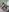 Zzzooey's photo