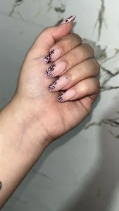 foxybunny Hobby Bunny 사진 6