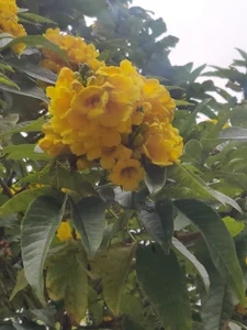 luisianacoxx 🦋 Foto 2