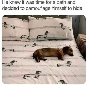 XNirvanaX Public Pic