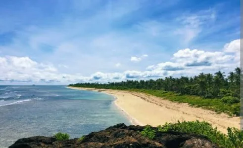 IANhARDfUckerWonderful Island (GOLDEN SAND)图片 2