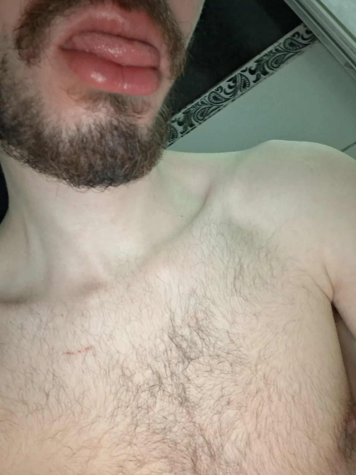 virginhairyboy20 immagine di tendenza 1850
