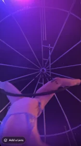 Jynx420friendly Me !  8. fénykép