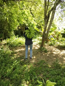 Guadalupe_Lopez Will you ask what Lupe does outside the camera? Here is the answer Immagine  3