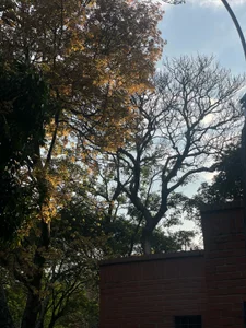 💋 Rest Tuesday 💫 de Dollar-girl  6 photos