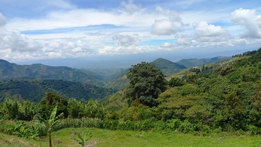 amabel_zambrano La María Colombia صورة واحدة|amabel_zambrano La María Colombia صورتان|amabel_zambrano La María Colombia  2 صور|amabel_zambrano La María Colombia  2 صورة