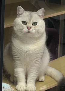 momo0021 我的咪😺 Sex fotek 2