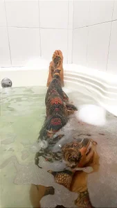 tina od jhonny__ackerman  snímek