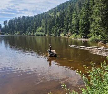 Lisaonthemoon Schwarzwald <3 Pic 4