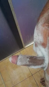 3059RNT Public Foto 2