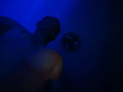 paymemoneyss Me. Pic