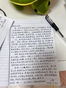 给我最爱的骑士们的手写信《28篇》