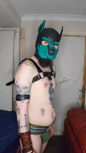 Castbotter1995 a puppy hood Kuva 4