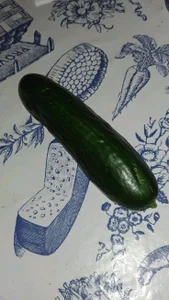 Anna’s de Anna_girl22 Foto 5