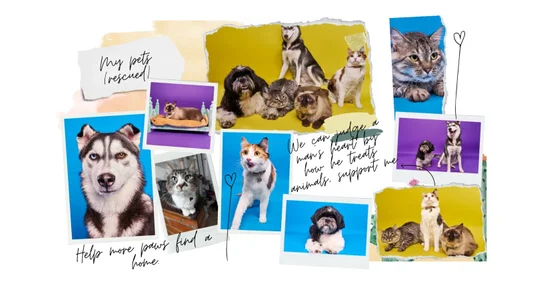 agnes_213 My pets were resocated Pic