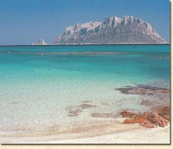 Sweet_Daddy_John Sea Daddy Life 🪼🌊🏖️🌞 Pic 3