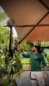 Asmodeus_bael_ you're going to have a lot of fun with me . fénykép