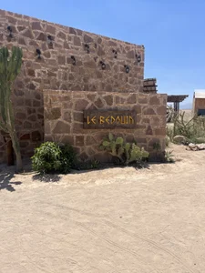 BicolorCandidate81 Public зображення 4