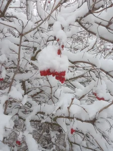 GypsyEsmeralda kullanıcısının you keep me warm this winter albümü -  4 fotoğraf