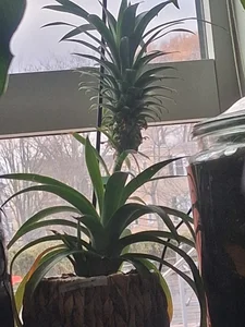 LaloSalamanca69 Public Pic 9