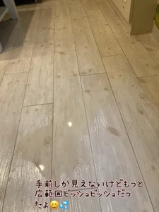 minami1129 kullanıcısının ホテルの床ビショビショにしたの誰〜😳？？ albümü -  fotoğraf