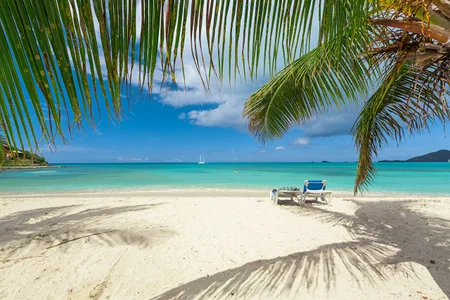 Sweeeeet_Candy Dreams 사진 2