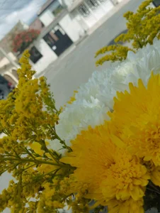 Isa_Maiden1 Story with Flowers 🌻 Pic 2