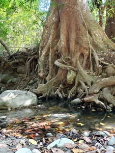 ChloeSanchezx Reserva "el Tambor" Pic 5