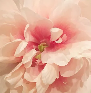 -Jun_juun- Public 사진 2