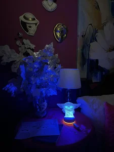 Sam_Sara Details of my community ❤️ ❤️ ❤️ Immagine  2