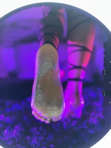BriaConner_ Shiny feet 😁 Immagine  4