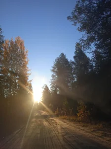 Your_Liza Nature Pic