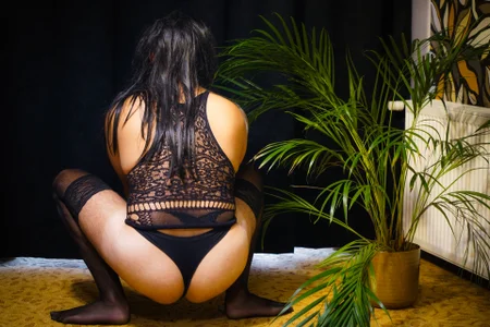 Public de Dark_Cygnus  2 Imagens