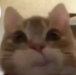 mimichellee Public Εικόνα